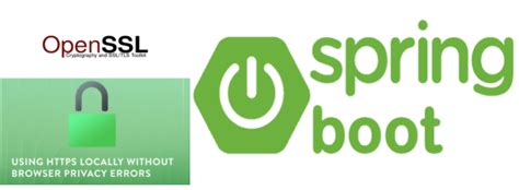 How to enable HTTPS Locally without getting .